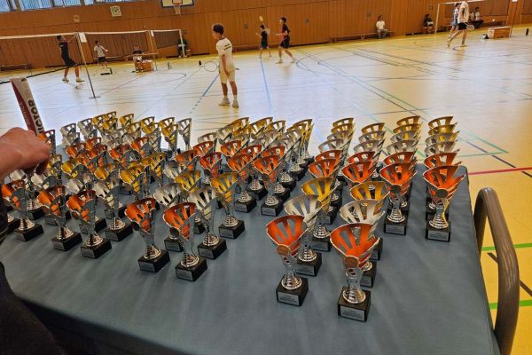 Bezirksmeisterschaft wird zu Röwer-Festspielen